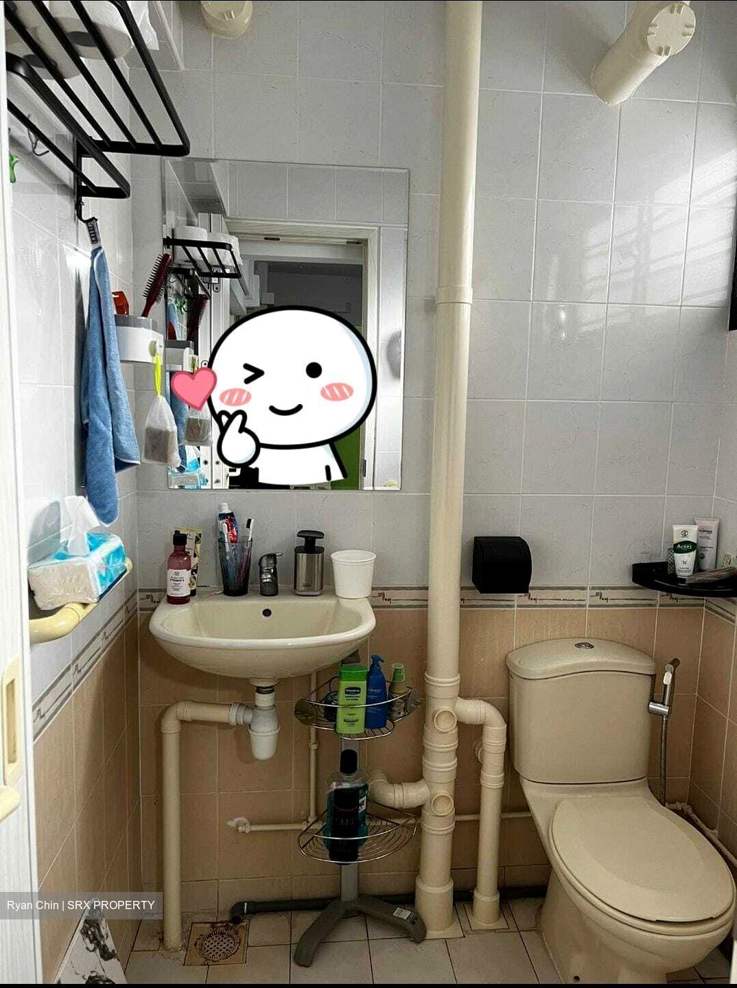 Blk 304 Shunfu Gardens (Bishan), HDB 3 Rooms #382277371